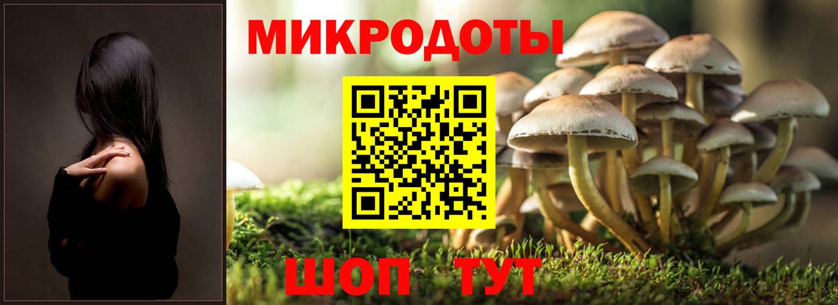 Псилоцибиновые грибы мухоморы Лосино-Петровский
